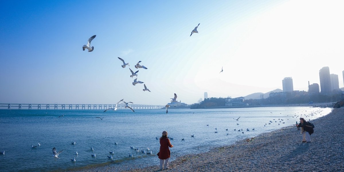 wp-14418b6ead7d98f4-pexels-1433506698-31349069