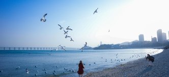 wp-14418b6ead7d98f4-pexels-1433506698-31349069