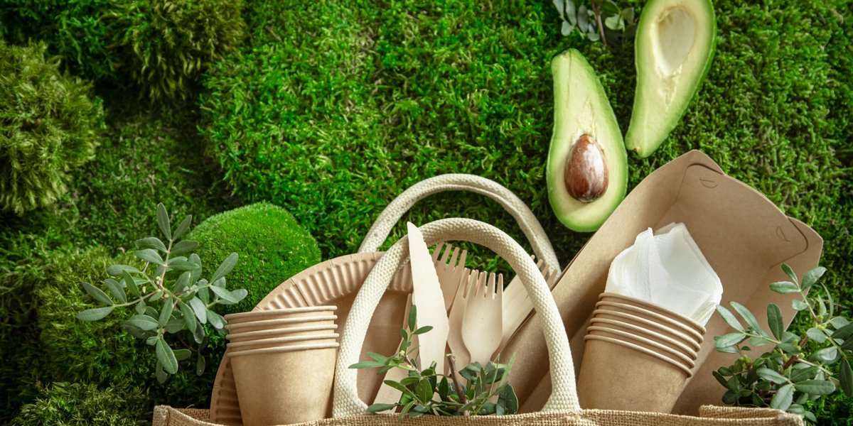 wp-160c81a858903c13-environmentally-friendly-disposable-recyclable-tableware-paper-food-boxes-plates