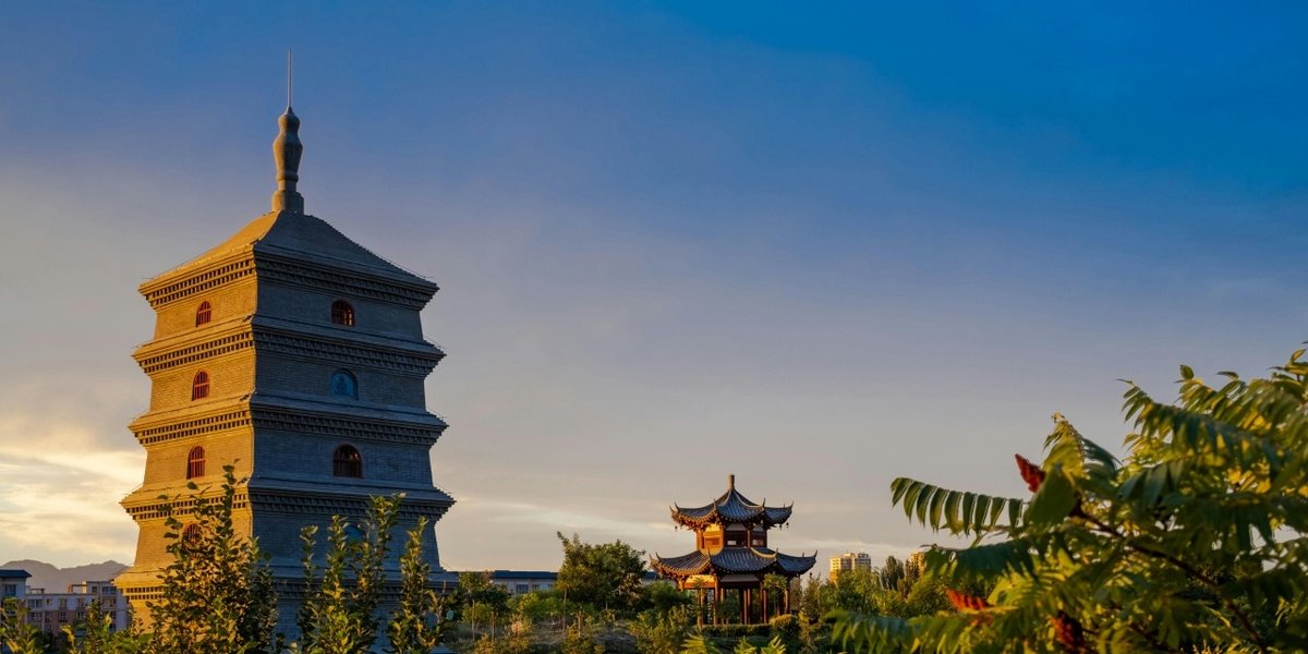 wp-378e56e72a911d82-pexels-tao-wang-335496284-13998387