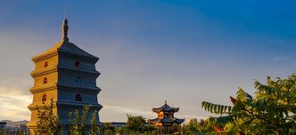 wp-378e56e72a911d82-pexels-tao-wang-335496284-13998387