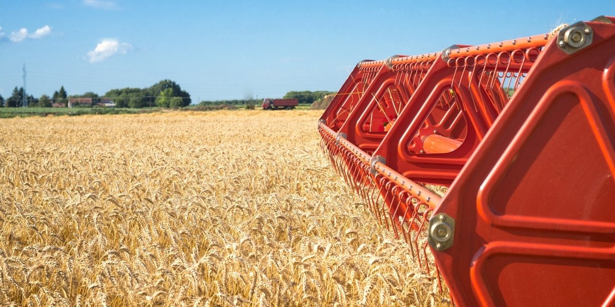 wp-573882cb4bb52445-12