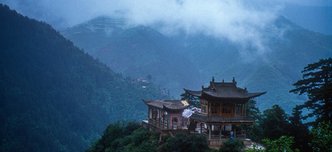 wp-5caac488649536f2-pexels-mickhaupt-15214153