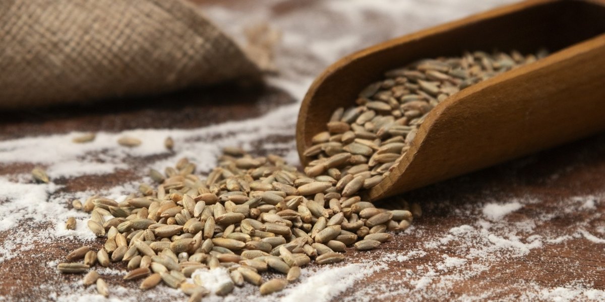 wp-5cd5d0b32766c09d-6