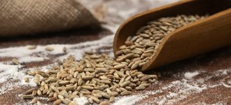 wp-5cd5d0b32766c09d-6