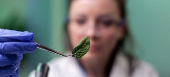 wp-640555283f63d8d2-biochemist-scientist-woman-holding-leaf-sample-analyzing-genetically-modified-or
