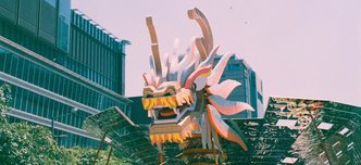 wp-6625aa7f7f912bc7-pexels-thanh-lam-822158566-20498923