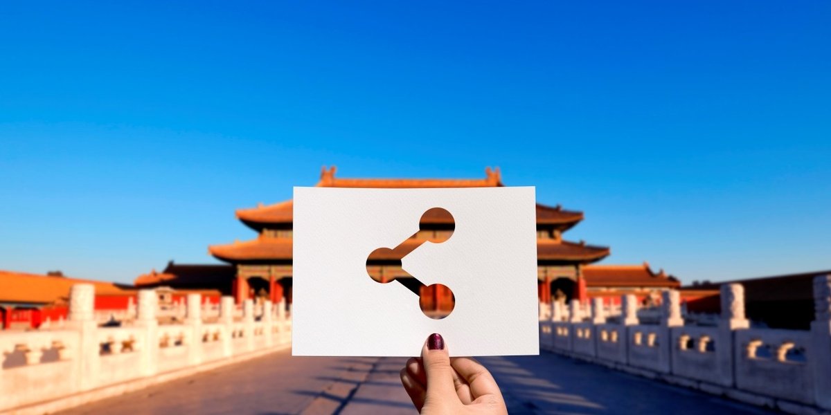 wp-677a69ebd501c84c-connection-online-networking-perforated-paper-share