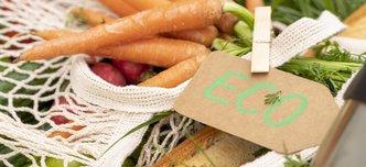 wp-6ec924eeeeea3632-close-up-reusable-bag-with-groceries-grass