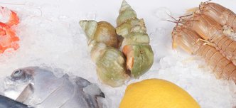 wp-78c6bf00789d4b59-9