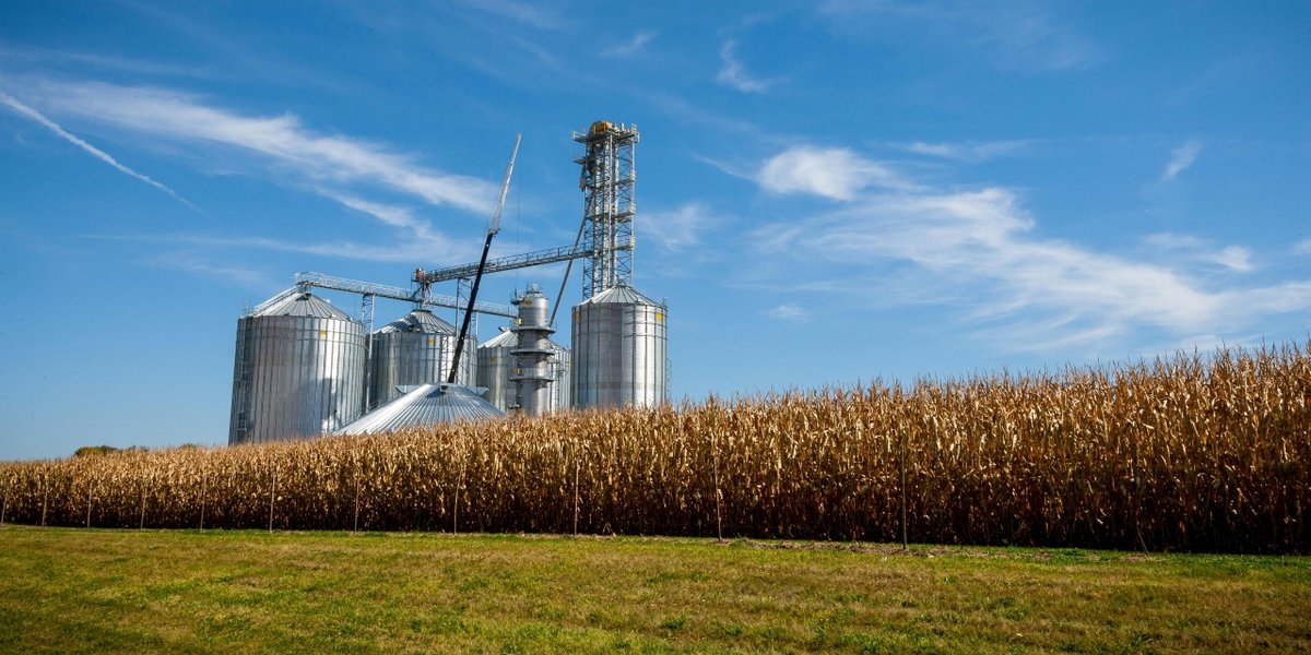 wp-965c856ee5ba4bf4-pexels-nc-farm-bureau-mark-2714630