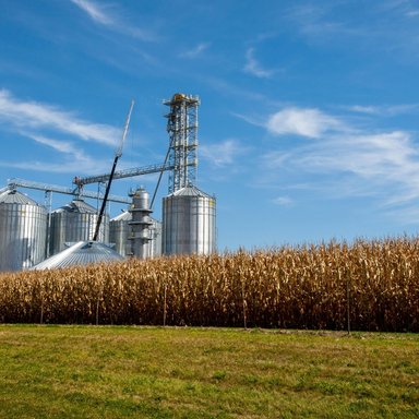 wp-965c856ee5ba4bf4-pexels-nc-farm-bureau-mark-2714630