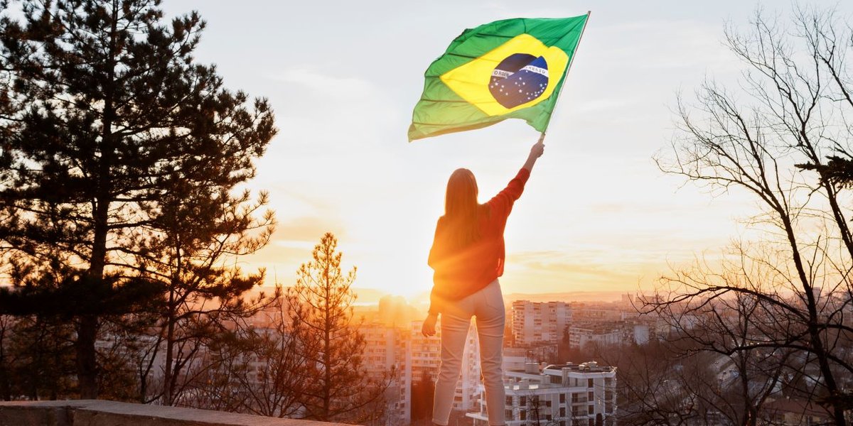 wp-b8546cb54bab81ca-woman-holding-brazilian-flag-full-shot