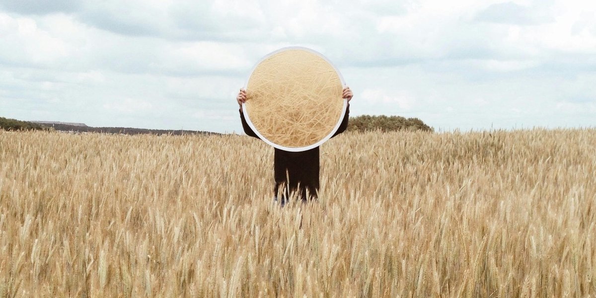 wp-d213d1a1acdc3418-pexels-maksgelatin-4412934