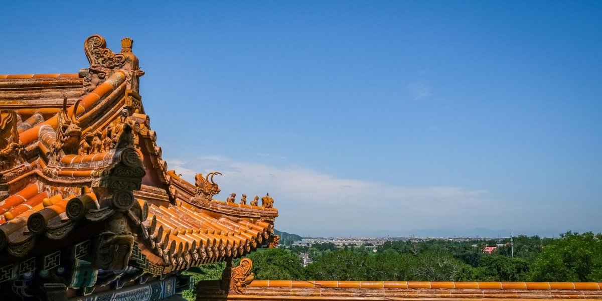 wp-e6f4c0b47ad564b0-pexels-magda-ehlers-pexels-2845966