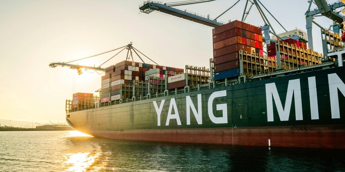 wp-fa8adbb0deb072c7-pexels-thomas-parker-1272388137-26224664